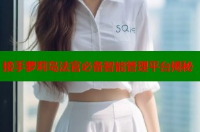 接手萝莉岛法官必备智能管理平台揭秘