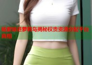 杨紫琼进萝莉岛揭秘权贵资源分配平台真相