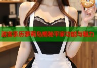 政客亲历萝莉岛揭秘平家功能与魅力