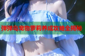 弹弹岛宠物萝莉养成攻略全揭秘