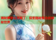 揭秘萝莉岛贾斯丁：探索隐秘聚会的神秘世界