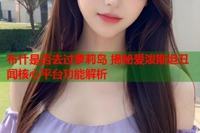 布什是否去过萝莉岛 揭秘爱泼斯坦丑闻核心平台功能解析