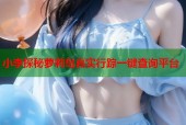 小李探秘萝莉岛真实行踪一键查询平台