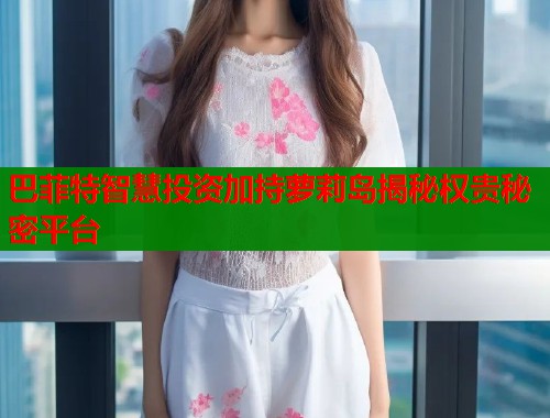 巴菲特智慧投资加持萝莉岛揭秘权贵秘密平台  第2张