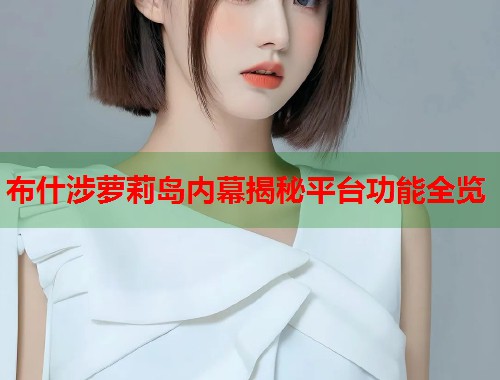 布什涉萝莉岛内幕揭秘平台功能全览  第1张