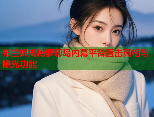 布兰妮揭秘萝莉岛内幕平台直击真相与曝光功能  第2张