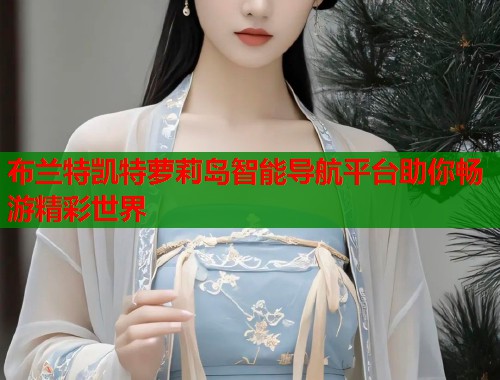 布兰特凯特萝莉岛智能导航平台助你畅游精彩世界  第1张