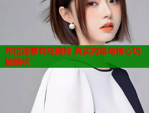 布拉德萝莉岛揭秘 真实内幕与核心功能解析  第1张