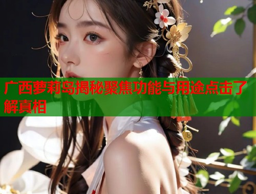 广西萝莉岛揭秘聚焦功能与用途点击了解真相  第1张