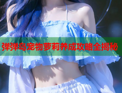 弹弹岛宠物萝莉养成攻略全揭秘  第1张