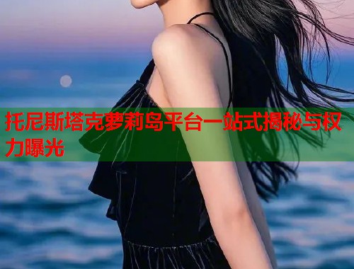 托尼斯塔克萝莉岛平台一站式揭秘与权力曝光  第1张