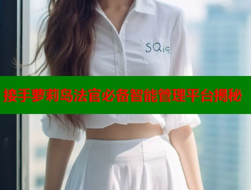 接手萝莉岛法官必备智能管理平台揭秘  第1张
